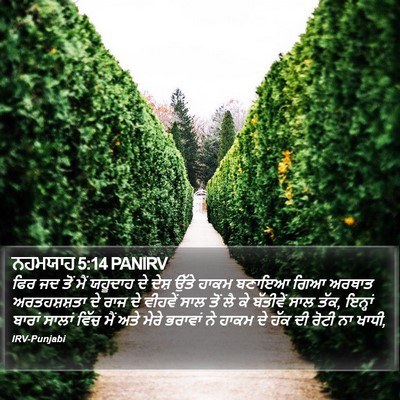 ਨਹਮਯਾਹ 5:14 PANIRV Bible Verse Image