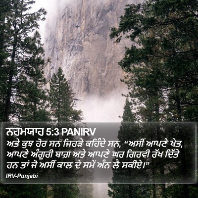 ਨਹਮਯਾਹ 5:3 PANIRV Bible Verse Image
