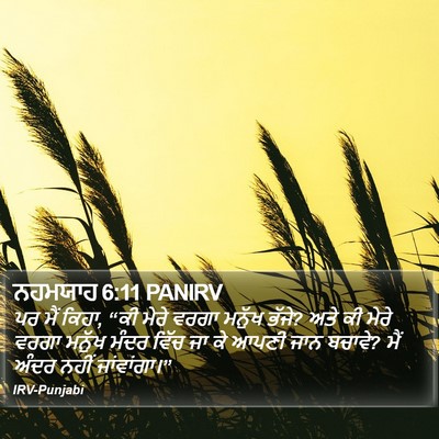 ਨਹਮਯਾਹ 6:11 PANIRV Bible Verse Image
