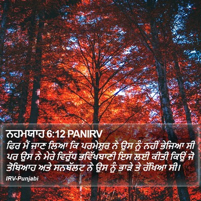 ਨਹਮਯਾਹ 6:12 PANIRV Bible Verse Image