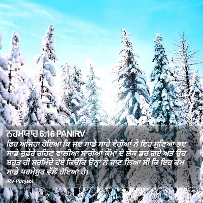 ਨਹਮਯਾਹ 6:16 PANIRV Bible Verse Image