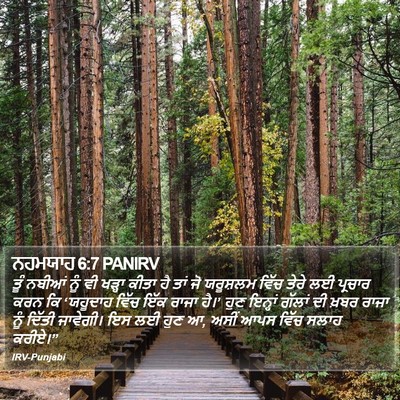 ਨਹਮਯਾਹ 6:7 PANIRV Bible Verse Image