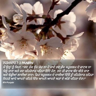 ਨਹਮਯਾਹ 7:3 PANIRV Bible Verse Image