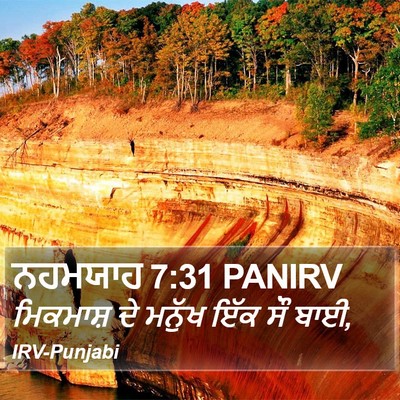 ਨਹਮਯਾਹ 7:31 PANIRV Bible Verse Image