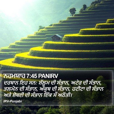ਨਹਮਯਾਹ 7:45 PANIRV Bible Verse Image