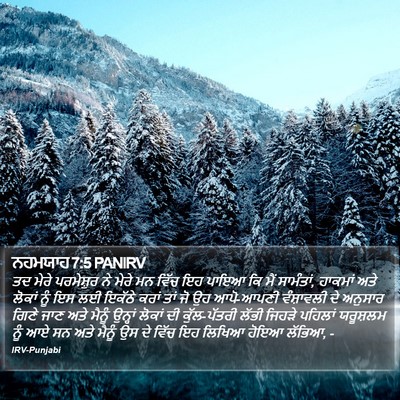 ਨਹਮਯਾਹ 7:5 PANIRV Bible Verse Image