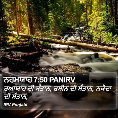 ਨਹਮਯਾਹ 7:50 PANIRV Bible Verse Image