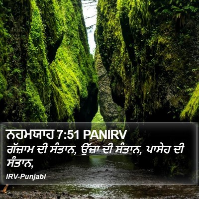 ਨਹਮਯਾਹ 7:51 PANIRV Bible Verse Image