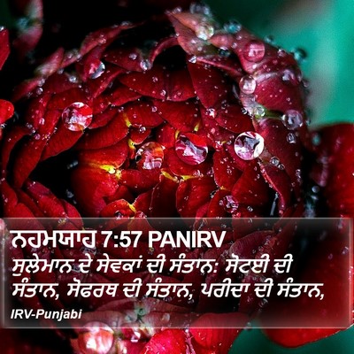 ਨਹਮਯਾਹ 7:57 PANIRV Bible Verse Image