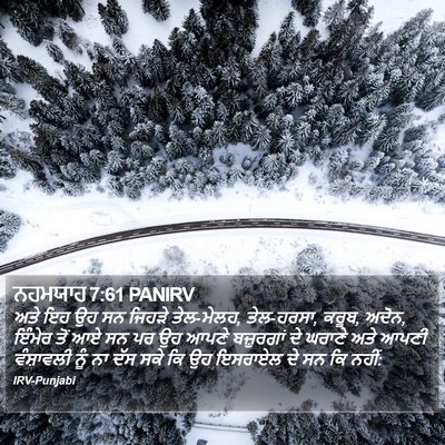ਨਹਮਯਾਹ 7:61 PANIRV Bible Verse Image