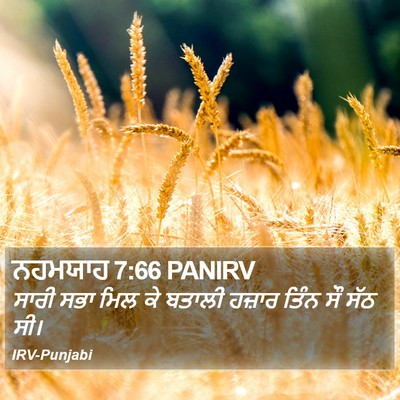 ਨਹਮਯਾਹ 7:66 PANIRV Bible Verse Image