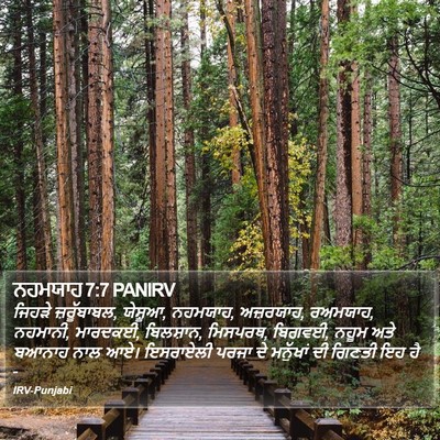 ਨਹਮਯਾਹ 7:7 PANIRV Bible Verse Image