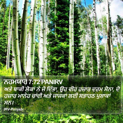 ਨਹਮਯਾਹ 7:72 PANIRV Bible Verse Image