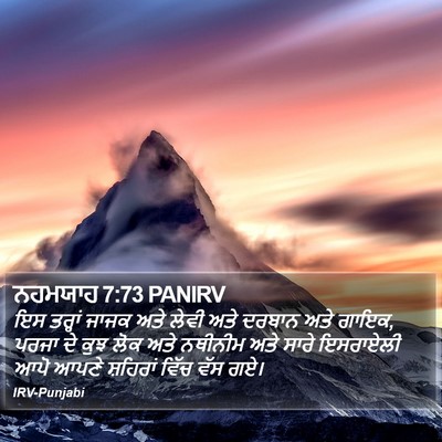 ਨਹਮਯਾਹ 7:73 PANIRV Bible Verse Image