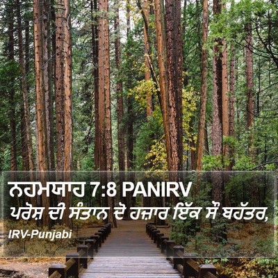 ਨਹਮਯਾਹ 7:8 PANIRV Bible Verse Image