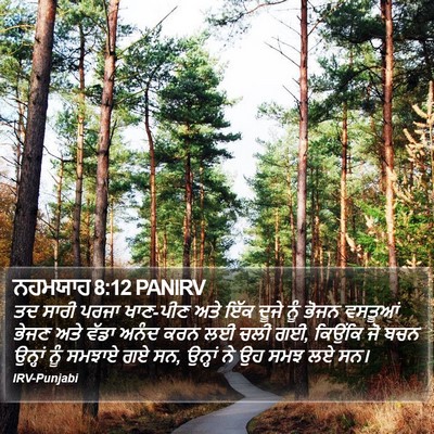 ਨਹਮਯਾਹ 8:12 PANIRV Bible Verse Image