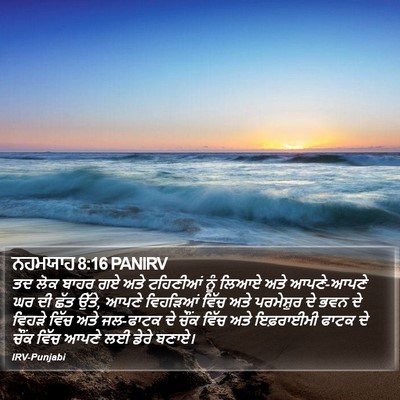 ਨਹਮਯਾਹ 8:16 PANIRV Bible Verse Image
