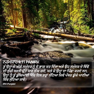 ਨਹਮਯਾਹ 9:11 PANIRV Bible Verse Image