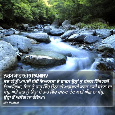 ਨਹਮਯਾਹ 9:19 PANIRV Bible Verse Image