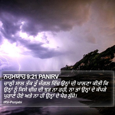 ਨਹਮਯਾਹ 9:21 PANIRV Bible Verse Image