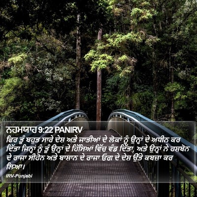 ਨਹਮਯਾਹ 9:22 PANIRV Bible Verse Image