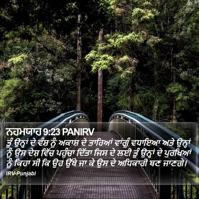ਨਹਮਯਾਹ 9:23 PANIRV Bible Verse Image