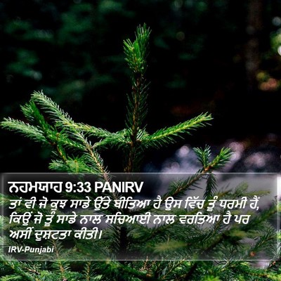 ਨਹਮਯਾਹ 9:33 PANIRV Bible Verse Image