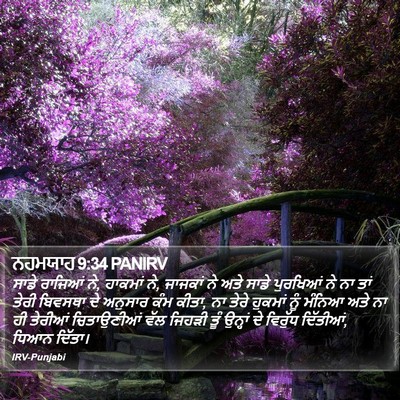 ਨਹਮਯਾਹ 9:34 PANIRV Bible Verse Image