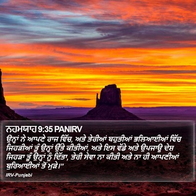 ਨਹਮਯਾਹ 9:35 PANIRV Bible Verse Image