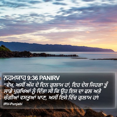 ਨਹਮਯਾਹ 9:36 PANIRV Bible Verse Image