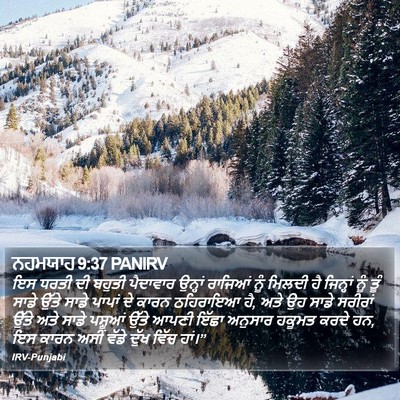 ਨਹਮਯਾਹ 9:37 PANIRV Bible Verse Image