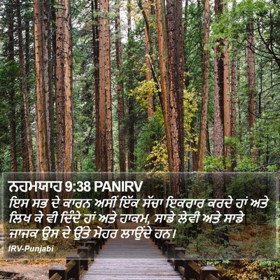 ਨਹਮਯਾਹ 9:38 PANIRV Bible Verse Image