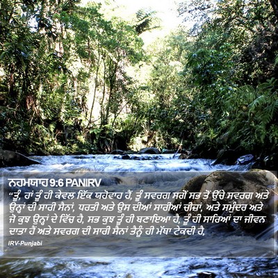 ਨਹਮਯਾਹ 9:6 PANIRV Bible Verse Image