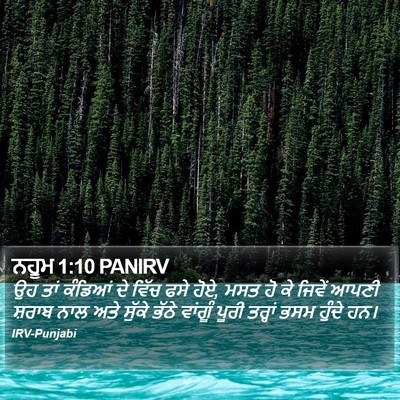 ਨਹੂਮ 1:10 PANIRV Bible Verse Image