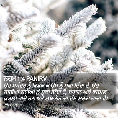 ਨਹੂਮ 1:4 PANIRV Bible Verse Image