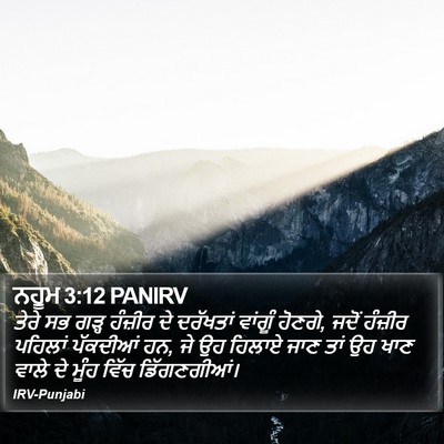 ਨਹੂਮ 3:12 PANIRV Bible Verse Image