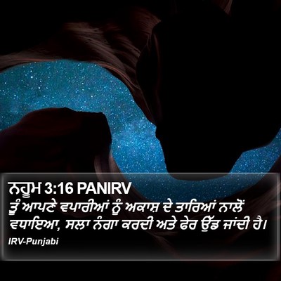 ਨਹੂਮ 3:16 PANIRV Bible Verse Image