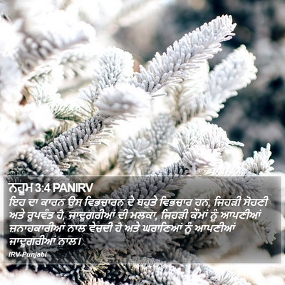 ਨਹੂਮ 3:4 PANIRV Bible Verse Image