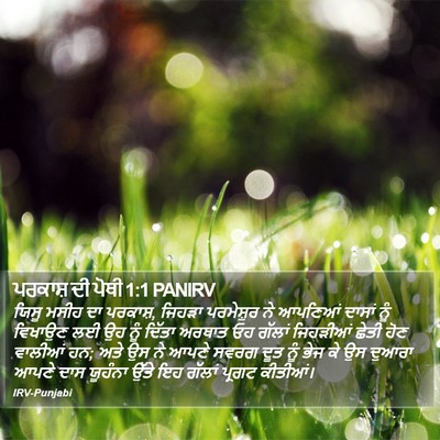 ਪਰਕਾਸ਼ ਦੀ ਪੋਥੀ 1:1 PANIRV Bible Verse Image