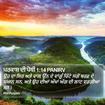 ਪਰਕਾਸ਼ ਦੀ ਪੋਥੀ 1:14 PANIRV Bible Verse Image