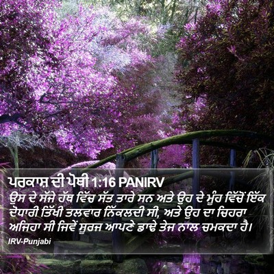 ਪਰਕਾਸ਼ ਦੀ ਪੋਥੀ 1:16 PANIRV Bible Verse Image