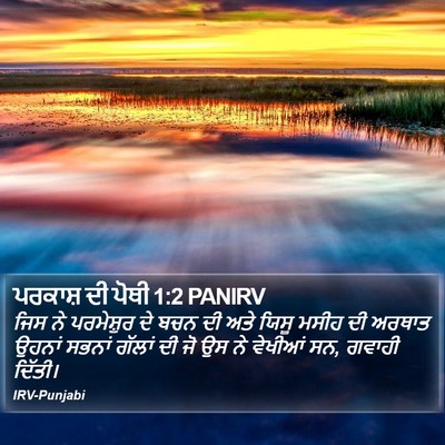ਪਰਕਾਸ਼ ਦੀ ਪੋਥੀ 1:2 PANIRV Bible Verse Image
