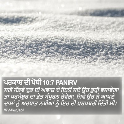 ਪਰਕਾਸ਼ ਦੀ ਪੋਥੀ 10:7 PANIRV Bible Verse Image