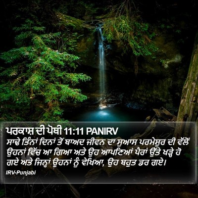 ਪਰਕਾਸ਼ ਦੀ ਪੋਥੀ 11:11 PANIRV Bible Verse Image
