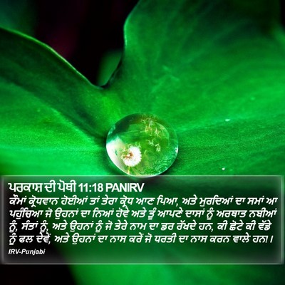 ਪਰਕਾਸ਼ ਦੀ ਪੋਥੀ 11:18 PANIRV Bible Verse Image