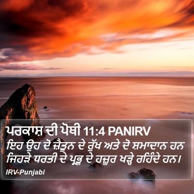 ਪਰਕਾਸ਼ ਦੀ ਪੋਥੀ 11:4 PANIRV Bible Verse Image