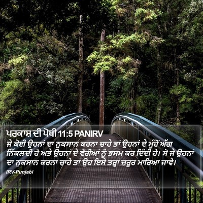 ਪਰਕਾਸ਼ ਦੀ ਪੋਥੀ 11:5 PANIRV Bible Verse Image