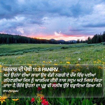 ਪਰਕਾਸ਼ ਦੀ ਪੋਥੀ 11:8 PANIRV Bible Verse Image