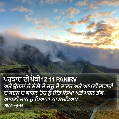 ਪਰਕਾਸ਼ ਦੀ ਪੋਥੀ 12:11 PANIRV Bible Verse Image