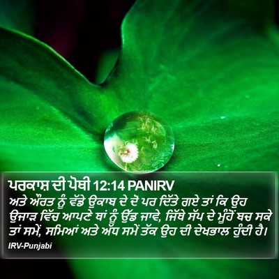 ਪਰਕਾਸ਼ ਦੀ ਪੋਥੀ 12:14 PANIRV Bible Verse Image
